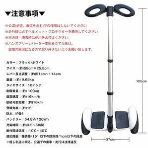 1円 電動 バランス スクーター ハンドル付き セグウェイ 10インチ バランスボード ハンズフリー キックボード スケートボード ad253の画像10