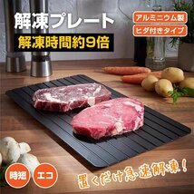 送料無料 解凍プレート 急速解凍 解凍用プレート 業務用 自然解凍 置くだけ 解凍板 解凍皿 アルミ 肉 魚 冷凍食品 キッチン 家庭用 sg165_画像1