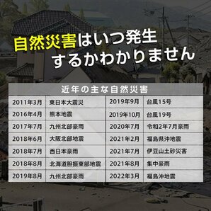 簡易トイレ 凝固剤 60回分 ポータブルトイレ 抗菌 消臭 防災用品 防災グッズ 防災 災害用 非常時 携帯トイレ 車 災害時 介護用トイレ ny613の画像3