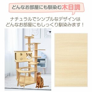 1円 キャットタワー 木製 スリム 大型猫 シニア猫 据え置き 省スペース コンパクト ハンモック 多頭飼い 小型 爪研ぎ ハウス 展望台 pt085の画像10