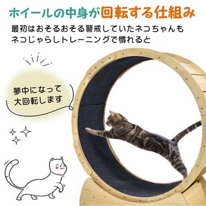 1円 猫 トレッドミル キャット ホイール 安い ローラー ルームランナー 回し車 観覧車 安全 エクササイズ ランニング ペット pt071の画像3