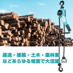 1円 レバーホイスト 0.75t 750kg チェーン ローラー チェーンブロック 揚程 1.5m 巻き上げ 巻き下げ 運送 建築 土木 作業 工具 運搬 ny386の画像5