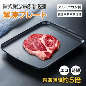 送料無料解凍プレート 急速解凍 プレート 解凍皿 アルミ合金 シートまな板 ブロッコリー 肉解凍プレート 自然解凍まな板 sg189