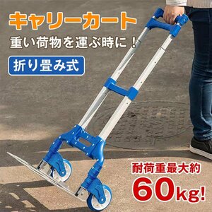 送料無料 未使用 キャリーカート キャリーワゴン 台車 荷物運び 折りたたみ 耐荷重60kg キャンプ アウトドア 災害時 ad224