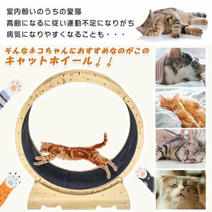 1円 猫 トレッドミル キャット ホイール 安い ローラー ルームランナー 回し車 観覧車 安全 エクササイズ ランニング ペット pt071の画像2