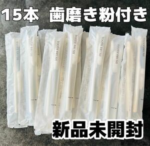 【アメニティ】使い捨て歯ブラシ 15本 歯磨き粉 付き ホテルアメニティ 旅館 エステサロン 業務用 備え付け 旅行 トラベル用品