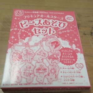 たのしい幼稚園 プリキュアオールスターズ ビーズあそびセットの画像1