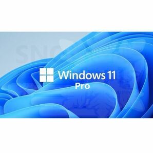 Microsoft Windows 11 Pro 32bit/64bit＊マイクロソフト正規リテール版プロダクトキー＊PDFガイド付きの画像1