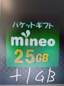 マイネオ mineo　パケットギフト25GB＋1GB。9999MBを2口と6002MBを1口です。