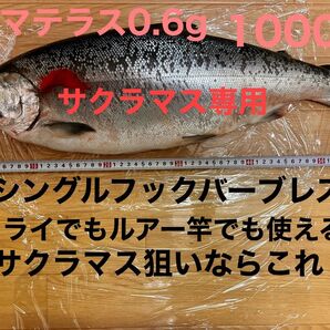 ビックトラウトハンターアマテラス!フライ&フェザージグ!サクラマススペシャル