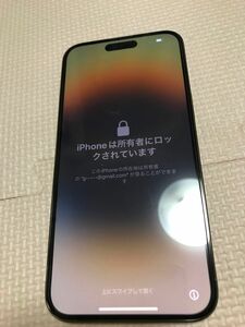 ジャンク iPhone 14 Pro Max 128GB ゴールド