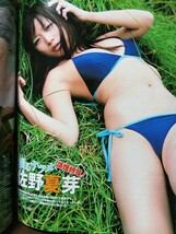 EX大衆 2006年11月号 杏さゆり 秋山莉奈 川村ゆきえ 平田弥里 佐野夏芽 福井裕佳梨 一戸奈美 安藤沙耶香 白鳥百合子 石井めぐる_画像4