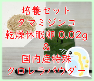 ★培養セット★国産クロレラパウダー付き タマミジンコ 乾燥休眠卵 約5000粒 1カプセル (約0.02g)