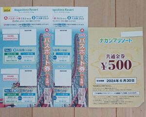 ナガシマスパーランド パスポート 2枚 + ナガシマリゾート 500円 券