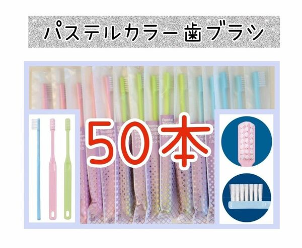 歯科専用歯ブラシパステルカラー50本