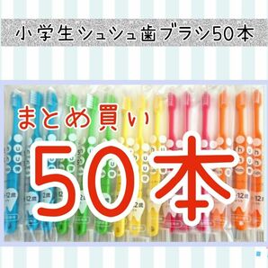 小学生シュシュ歯ブラシ50本