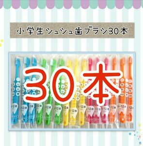 小学生シュシュ歯ブラシ30本