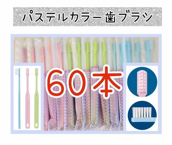 歯科専用歯ブラシパステルカラー60本