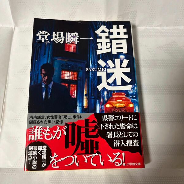 錯迷 （小学館文庫　と４－４） 堂場瞬一／著