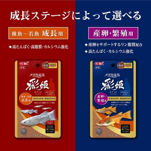 新商品　GEX ジェックス メダカ元気 彩姫 産卵・繁殖用 100g ＋ 成長用 100g のセット　　　　送料全国一律　185円