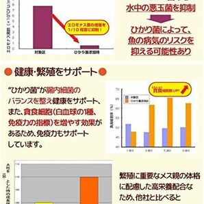 キョーリン ひかり メダカプロス  20g         送料全国一律 120円の画像2