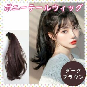 ポニーテールウィッグ エクステ ロング つけ毛 45cm ダークブラウンの画像1