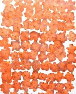  business use pressed flower material hydrangea orange dyeing high capacity 500 sheets dry flower deco resin . seal 