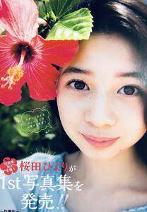 桜田ひより　（2枚組）雑誌切り抜き（A4判）041