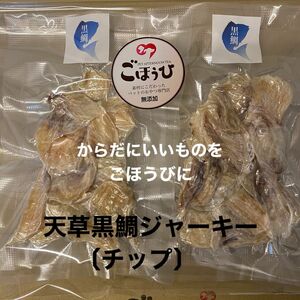 無添加おやつ　天草黒鯛ジャーキー〔チップ〕