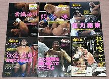 週刊プロレス増刊号24冊_画像4