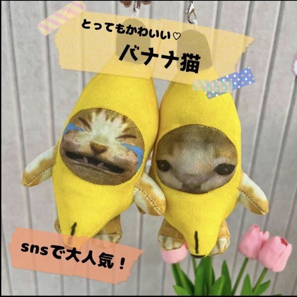 バナナ猫　2個セット　猫ミーム　TikTok 大人気　バナナキャット　ネコマニ