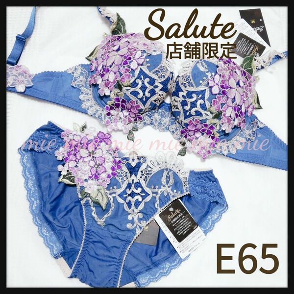 ◆ワコール　Saluteサルート　店舗限定　ブラ&ショーツ　E65　49グループ　モロッコ　紫陽花◆