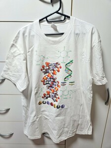 SUPREME シュプリーム 17AW DNA Tee Tシャツ ホワイト XL