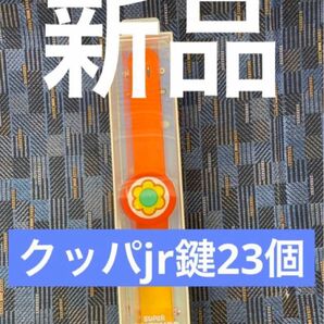 パワーアップバンド新品未開封　鍵23個　USJユニバニンテンドー限定