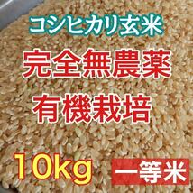 完全無農薬 有機栽培 10キロ 『一等米』令和5年 新米 コシヒカリ玄米 安心安全美味しいお米　発芽玄米になります！送料、精米無料♪_画像1