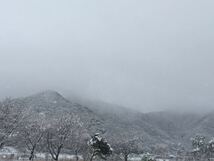 大好きな冬の雪化粧を撮りました