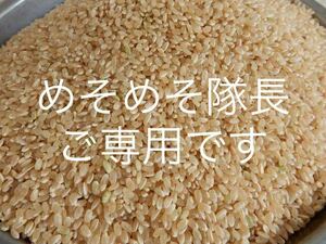 【めそめそ隊長様ご専用】兵庫県産　完全無農薬有機栽培 15キロ 『一等米』コシヒカリ玄米 