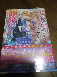 「急募：俺と結婚してください!」の看板を掲げる勇者様と結婚したら、溺愛されることになりました 待鳥園子 一迅社 IRIS NEO 新品 ①