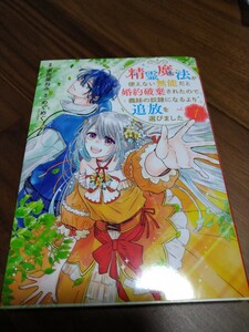 精霊魔法が使えない無能だと婚約破棄されたので、義妹の奴隷になるより追放を選びました 1 多花葉ねみ/めぐめぐ 集英社ガールズコミックス