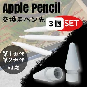 Apple pencil ペン先 アップル ペンシル 替え芯 白5個セット