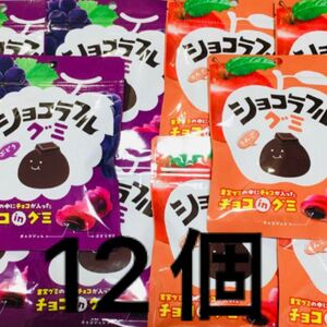 お菓子 まとめ売りショコラ フル グミ 12個 ぶどう 47g / りんご 47g チョコレート