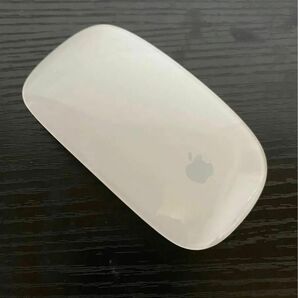 Apple Magic Mouse MB829J/A