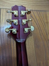 Peavey EXP Signature Series 　ピーヴィー_画像6