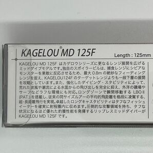 メガバス カゲロウ MD 125F 未開封 GG NIGHT LIGHT IWASHI KAGELOU MD 125Fの画像4