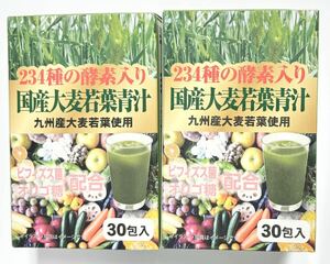 234種の酵素入り 国産大麦若葉青汁 30包 2箱　九州産大麦若葉使用　青汁