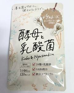 酵母と乳酸菌 120粒 ライフメイト ケストース GABA 鉄分 マグネシウム