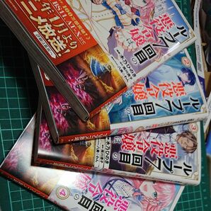 1234 ループ７回目の悪役令嬢は、元敵国で自由気ままな花嫁生活を満喫する　（ガルドコミックス） 木乃ひのき／漫画　雨川透子