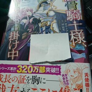 骸骨騎士様、只今異世界へお出掛け中　１３ （ガルドコミックス） 秤猿鬼／原作　サワノアキラ／漫画　ＫｅＧ／キャラクター原案