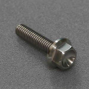 64 titanium bolt wide flange M6x25 (10mm socket )