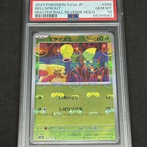 1円 PSA10 マダツボミ マスターボールミラー マスターボール BELLSPROUT Master Ball Reverse Holo Pokemon 151 PSA鑑定品 ポケモンカード の画像1